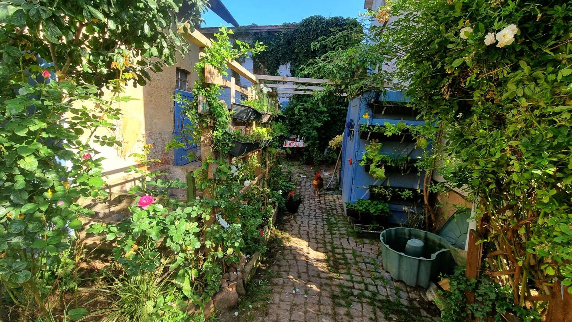 Bauernhof Privatzimmer Hortus Sandrine Gemeinschaftsbad Free Wifi Hausbreitenbach Екстериор снимка