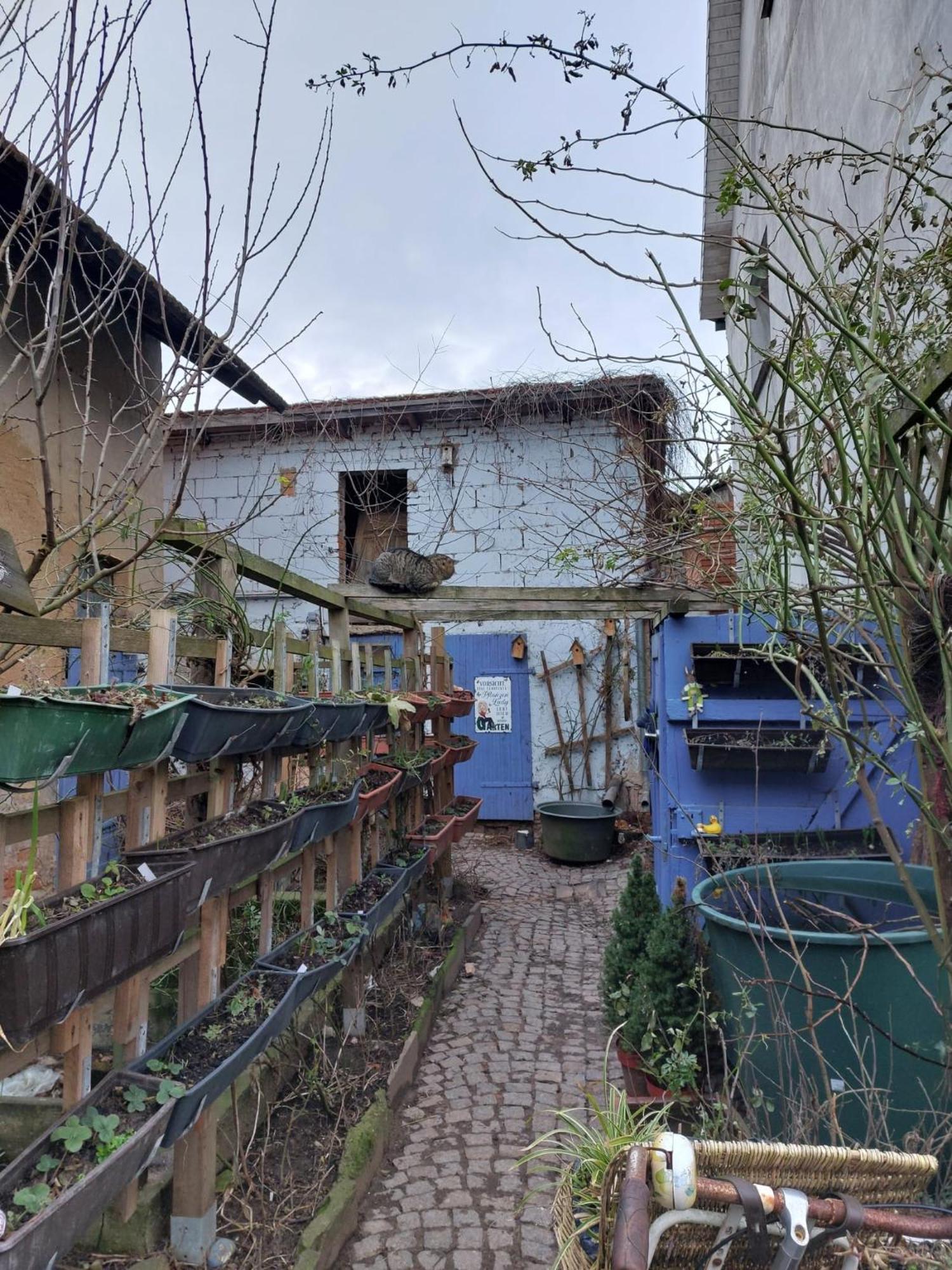 Bauernhof Privatzimmer Hortus Sandrine Gemeinschaftsbad Free Wifi Hausbreitenbach Екстериор снимка